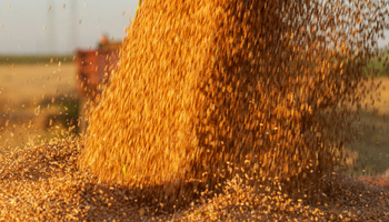 Getreideindustrie Getreideindustrie